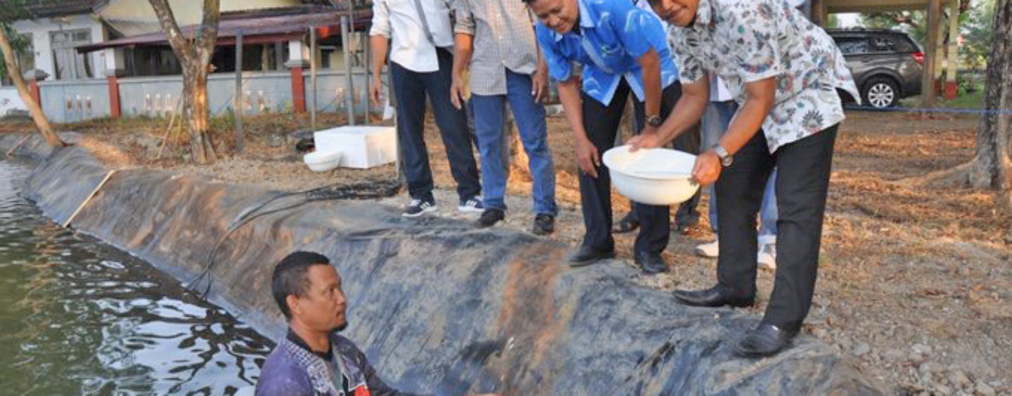 The stocking of 33,800 seeds of BSC increased the research collaboration of crab ponds between APRI and BBPBAP Jepara, Jepara June 4, 2018