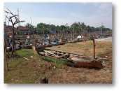 “Angin Kumbang” causes Cirebon fishermen refused to catch blue swimming crab