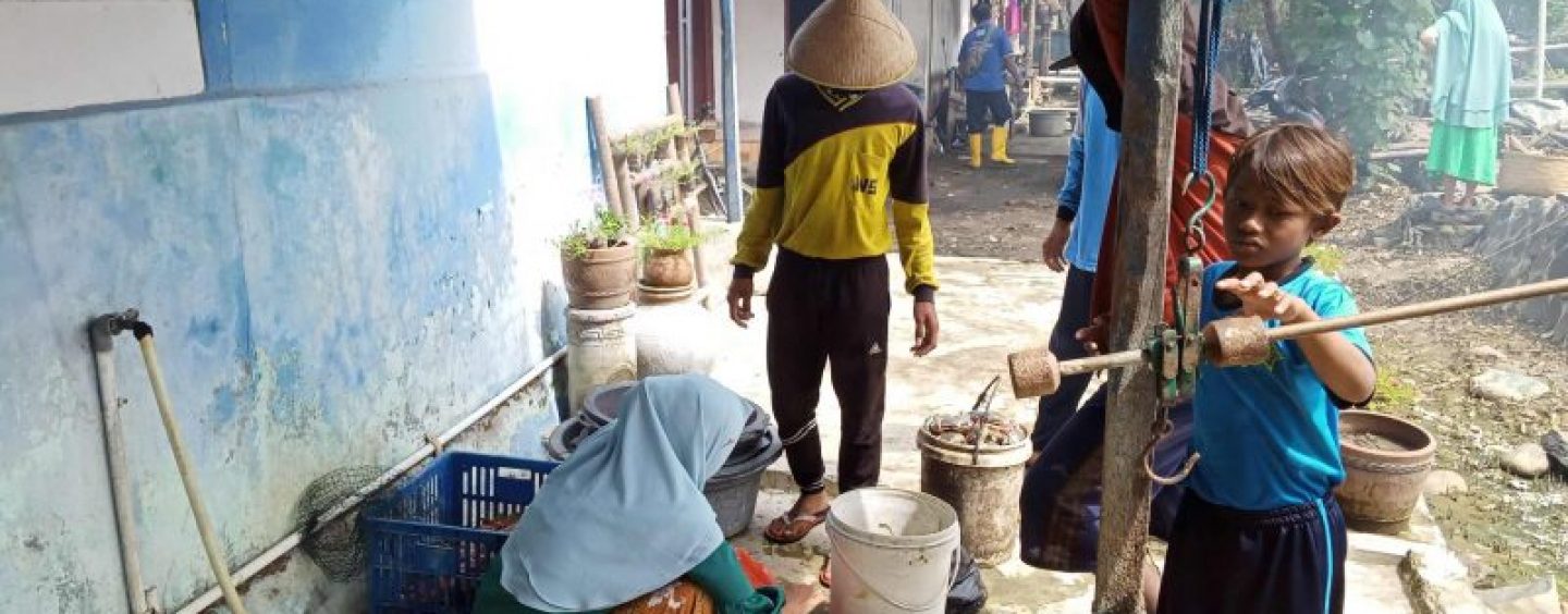 Pandemic COVID-19 Effect blue swimming crab fisherman in Pemalang