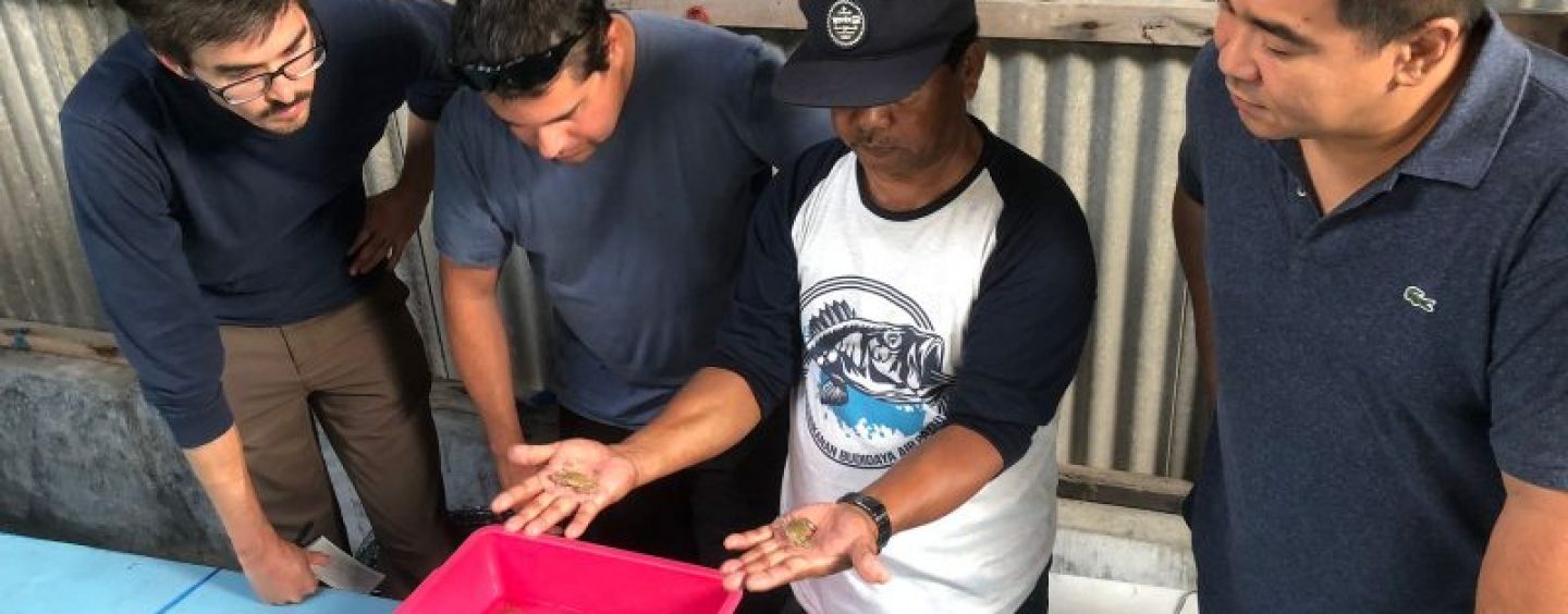 Smithsonian Environmental Research Centre (SERC) visitation in APRI Hatchery Station