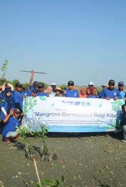 Mangrove Planting Action with Fishermen in Pamekasan: Efforts to Restore Coastal Ecosystems