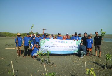 Mangrove Planting Action with Fishermen in Pamekasan: Efforts to Restore Coastal Ecosystems